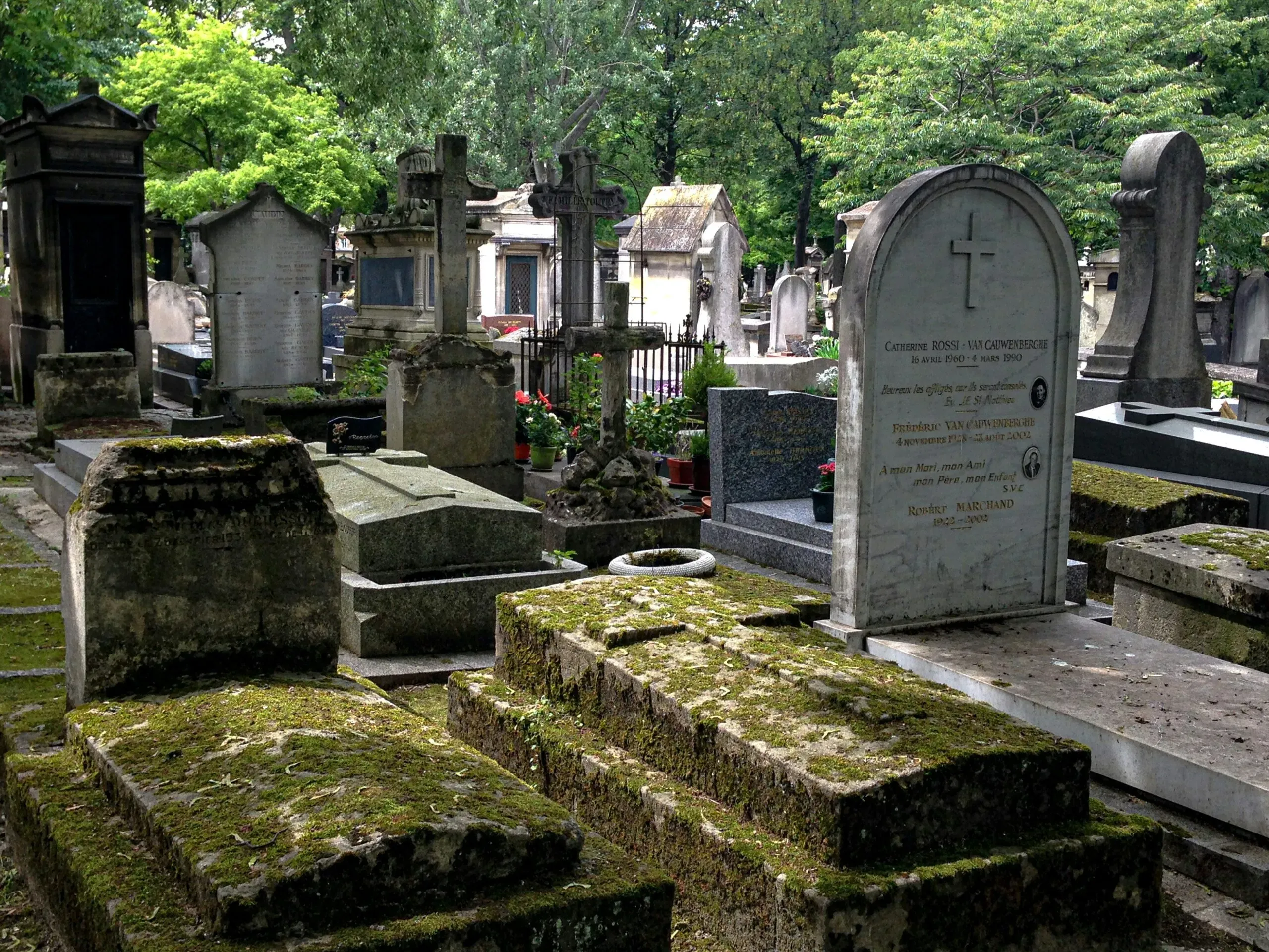 Vue d'un vieux cimetière avec des tombes en pierre recouvertes de mousse et des stèles.